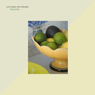 Back View : Leo Dupleix With Asterales - ROUND SKY (LP+MP3) - Black Truffle / Black Truffle 136
