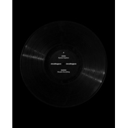 Back View : UFO95 & Hadone - WHEN SYSTEMS COLLAPSE EP - Analogue / ANA016