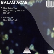 Back View : Balam Acab - SEE BIRDS - Tri Angle / TRI ANGLE 01