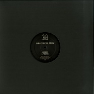 Back View : Cari Lekebusch / Orion - ABSENCE / PRESENCE - Absence of Facts / AOF004