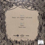 Back View : Moop - OSTARA (LTD BLUE LP) - Tonzonen Records / TON 097LP