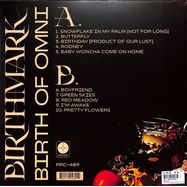 Back View : Birthmark - BIRTH OF OMNI (GOLDENROD COLOURED LP+DL GATEFOLD) - Polyvinyl / PRC489LP