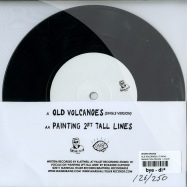 Back View : Warm Brains - OLD VOLCANOES (7 INCH) - Marshall Teller Records  / mt006
