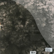 Back View : Laura Groves - THINKING ABOUT THINKING - Deek Recordings / deek004