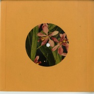 Back View : Dyalla - COME MY WAY EP (7 INCH) - Yellow Flower / YF005
