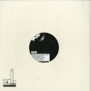 Back View : Various Artists - THE GREAT IN THE SMALL - Gooiland Elektro / GOOILAND033