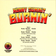 Back View : Kenny Summit - BURNIN - Afternoon Delight Records / ADR002