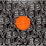 Back View : Various Artists (Mike Dunn / Jamie 326 / Seamus Haji / Nigel Lowis) - A TOUCH OF LOVE EP1 - Big Love / BL127