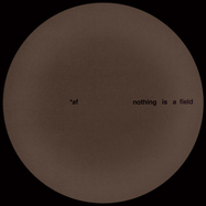 Back View : Adam Feingold - NOTHING IS A FIELD - Temple / TMPL009