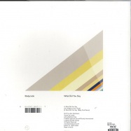 Back View : Bodycode - WHAT DID YOU SAY - Spectral 071 / SPC-71