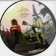 Back View : Crystal Fighters - CRYSTAL FIGHTERS (pic Disc) - Different / 451A232130
