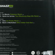 Back View : Various Artists - THE A EP (FOLAMOUR, IAN POOLEY REMIX) - Shazzer Project / EGBS005