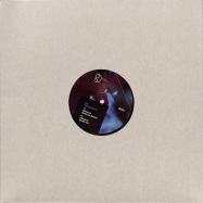 Back View : Viels - PURE COINCIDENCE EP - Dynamic Reflection / DREF043