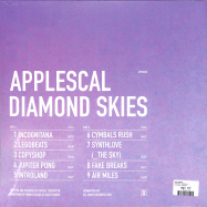 Back View : Applescal - DIAMOND SKIES (LP) - Atomnation / ATMV080