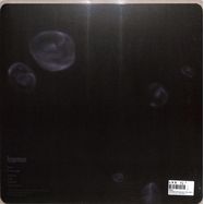Back View : Feral - CROSSROADS (BLACK 180G VINYL) - Hypnus Records / HYPNUS034