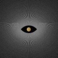 Back View : Denise Rabe - TRANSITION (LP) - 30d Exoplanets / 30DEXOLP-003