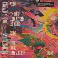 Back View : The Mechanical Man - ROOM IN MOVEMENT - Sofa Movements Records / SMR006