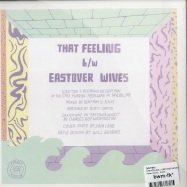 Back View : Dent May - THIS FEELING / EASTOVER WIVES (7 inch) - Forest Family / ffr004