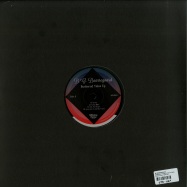 Back View : BG Baarregaard - BUSKERUD TALES EP (180 G VINYL) - Whiskey Pickle / WPW 001