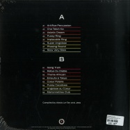 Back View : Bernard Estardy - SPACE ODDITIES: 1970-1982 (LP) - Born Bad Records / BB 103LP