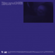Back View : Pejzaz - BLUES (CD) - THE VERY POLISH CUT-OUTS / TVPCLP002CD