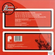 Back View : DJ Spinna feat Heavy - WE CAN CHANGE THIS WORLD - Papa Records / papa030