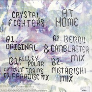 Back View : Crystal Fighters - AT HOME - Zirkulo / zkl004v