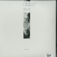 Back View : Traumer - A DIFFERENT PATH (DELANO SMITH, EXOS RMXS) - Berg Audio / BERGAMON05