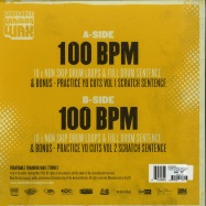 Back View : DJ Ritchie Ruftone - ULTIMATE DRUM LOOPS (LP) - Turntable Training Wax / TTW013