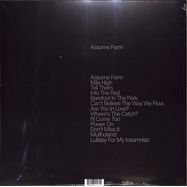 Back View : James Blake - ASSUME FORM (180G 2LP) - Polydor / 7744189