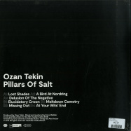 Back View : Ozan Tekin - PILLARS OF SALT (LP) - Noorden / TwelveSeven