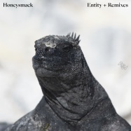Back View : Honeysmack - ENTITY (REMIXES) - Awesome Soundwave / ASWV028