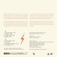 Back View : Jeroen Van Herzeele & Stephane Galland - SONGSHAN (LP) - BUZZ / ZZLP76143