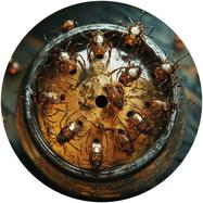 Back View : Ultranoise - CIRCUIT BREAKER - Believe In Records / BIR004