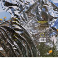 Back View : N Kramer & Magnus Bang Olsen - PASTORAL BLEND (LP) - Music From Memory / MFM077