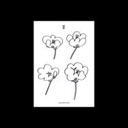 Back View : Lawrence - POPPIES - Smallville Records / smallville73