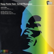 Back View : Deep Factor feat. Carroll Thompson - FRIEND OF MINE - Feelinmusic / FM003