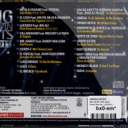 Back View : Various Artists - BIG LATIN HITS 2011 (CD) - Planet Records / a333011