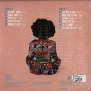 Back View : The Seshen - FLAMES & FIGURES (COLOURED LP + MP3) - Tru Thoughts / trulp330
