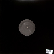 Back View : Theo Parrish - TOOK ME ALL THE WAY BACK - Sound Signature / Took1