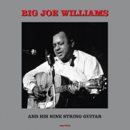 Back View : Big Joe Williams - AND HIS NINE STRING GUITAR - Not Now / CATLP231