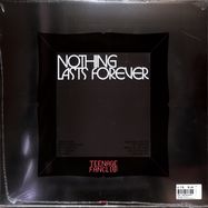 Back View : Teenage Fanclub - NOTHING LASTS FOREVER (LP) - PEMA / PEMA20LP