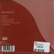 Back View : Bvdub - A CAREFUL ECSTASY (CD) - Darla Records / DRL263