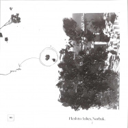 Back View : Norbak (PT) - FLESH TO ASHES (VINYL 2) - Warm Up / WU66LP_cd