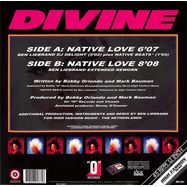 Back View : Divine - NATIVE LOVE (BEN LIEBRAND REWORX) - High Fashion Music / MS 521