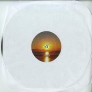 Back View : Joey Anderson - STARING TO THE POND (US PRESSING) - Inimeg Recordings / INMR-006