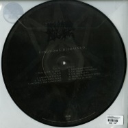 Back View : Morbid Angel - KINGDOMS DISDAINED (LTD PICTURE LP) - Silver Lining Music / SLM071P52