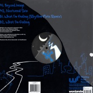 Back View : Karu - NOCTURNAL SKIN EP - Winding Road Records / road013