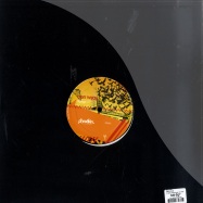 Back View : Ben Wijay - CAPRICIOUS - Phreakin Recordings / phr005t