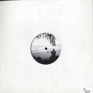 Back View : Deepart - SNAPSHOTS - Delsin Records / 17DSR / DPT1